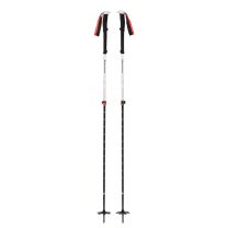 Expedition 2 Ski Poles