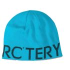 Arcteryx Word Head Mütze - blue tetra