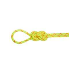 9.5 Alpine Core Protect Dry Rope