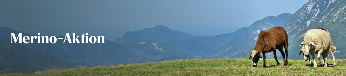 Merino-Aktion